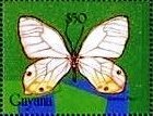 Stamp, Haetera piera, Guyana,  , Animals (Fauna), Butterflies, Insects