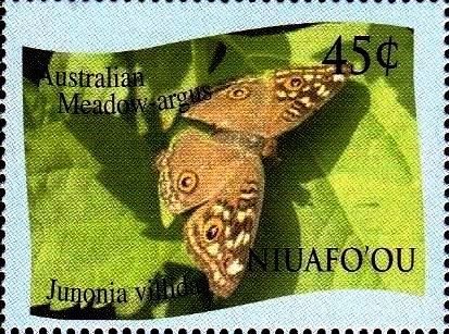 Junonia villida