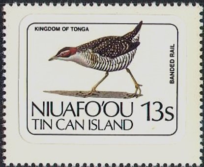 Banded Rail (Gallirallus philippensis)