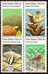 Corals
