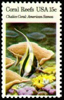 Chalice Coral, Moorish Idol (Zanclus cornutus)