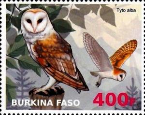 Stamp, Tyto alba, Cinderellas,  , Animals (Fauna), Birds, Birds of Prey, Owls