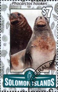 Stamp, Phocarctos hookeri, Solomon Islands,  , Animals (Fauna), Seals (Animals)