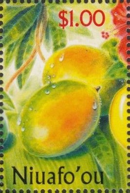 Mango (Mangifera indica)