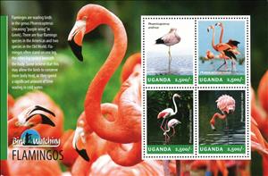 Mini Sheet, Flamingos, Uganda,  , Animals (Fauna), Birds, Flamingos