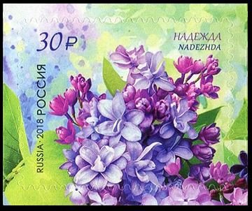 Nadezhda (Hope)