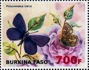 Stamp, Polyommatus icarus, Cinderellas,  , Animals (Fauna), Butterflies, Insects