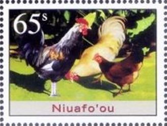 Year of the Rooster
