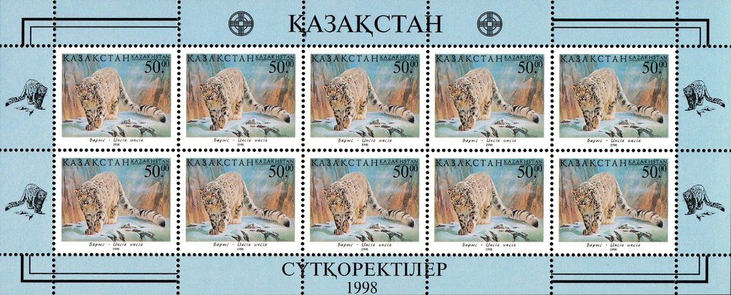 Snow Leopard (Panthera uncia)