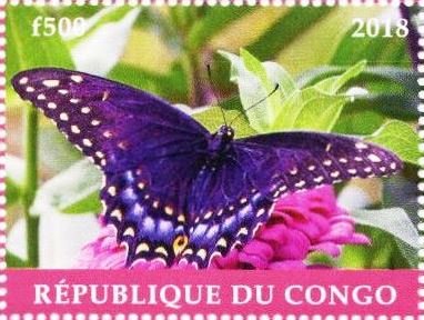 Stamp, Butterfly, Cinderellas,  , Animals (Fauna), Butterflies, Insects