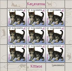 Mini Sheet, Maine Coon, Belarus,  , Animals (Fauna), Cats, Mammals