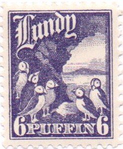 Colony of Puffins
