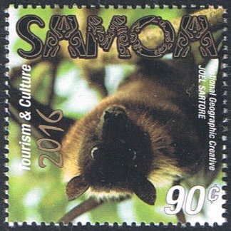 Flying fox