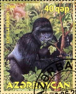 Stamp, Gorilla Beringei, Cinderellas,  , Animals (Fauna)