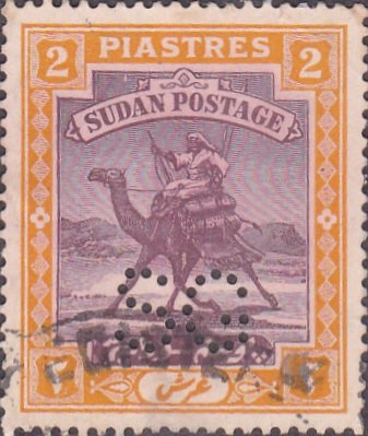 Postman with Dromedary (Camelus dromedarius)