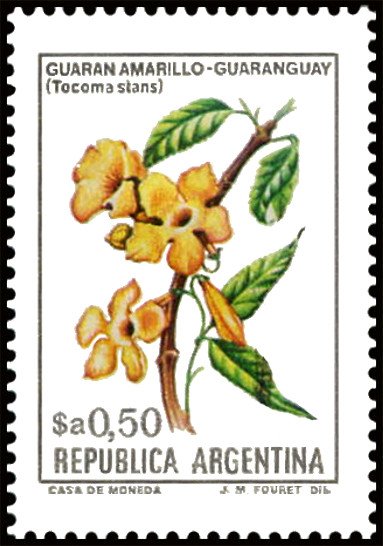 Guaran amarillo (Tecoma stans)