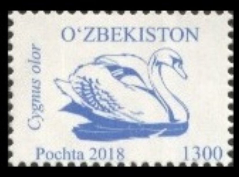 Birds of Uzbekistan (Part II)