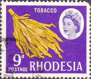 Tobacco