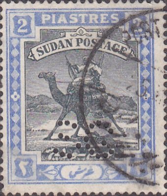 Postman with Dromedary (Camelus dromedarius)