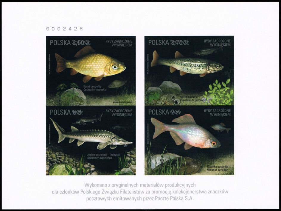Fish threatened with extinction