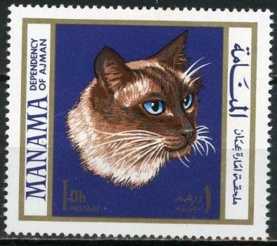 Domestic Cat