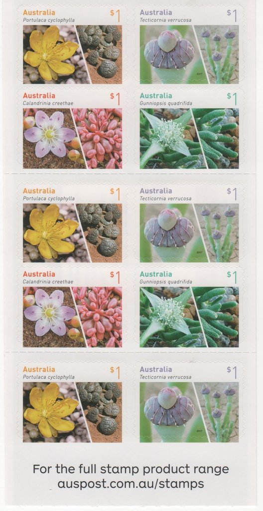 Australian Succulents