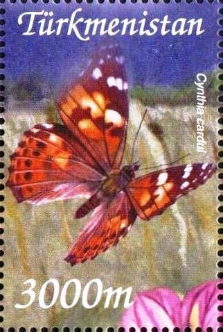 Cynthia cardui