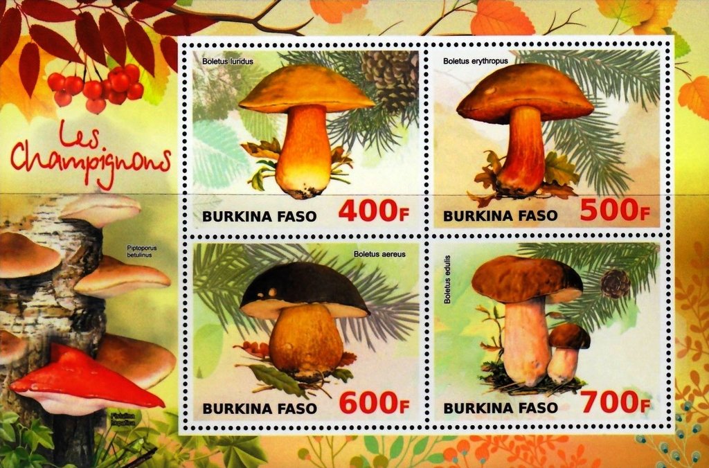 Mushrooms