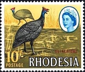 Stamp, Helmeted Guineafowl (Numida meleagris), Rhodesia,  , Animals (Fauna), Birds