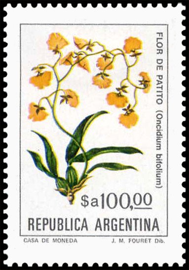 Flor de Patito (Oncidium bifolium)
