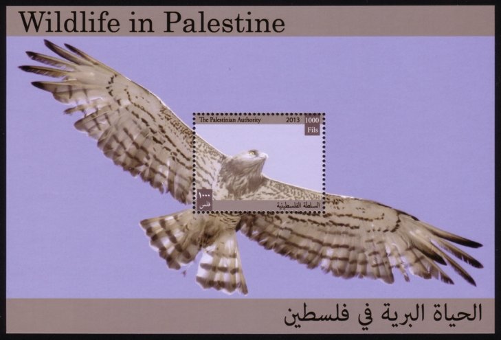 Flora and Fauna of Palestine