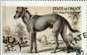 Stamp, Feral Dog of St. Domingo, Cinderellas,  , Animals (Fauna), Dogs