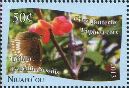 Crow Butterfly (Euploa core)
