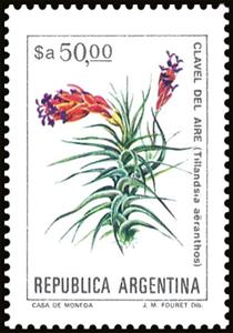 Stamp, Clavel del Aire (Tillandsia aeranthos), Argentina,  , Flowers, Plants (Flora)