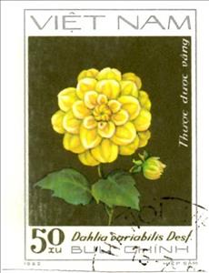 Stamp, Yellow dahlias (Dahlia variabilis Desf.), Vietnam,  , Flowers