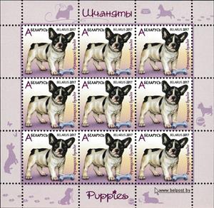 Mini Sheet, French Bulldog, Belarus,  , Animals (Fauna), Dogs, Mammals