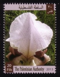 Flora and Fauna of Palestine