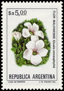 Stamp, Flor Malvinense (Oxalis ennea phylla), Argentina,  , Flowers, Plants (Flora)