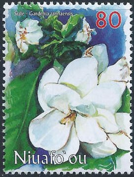 Gardenia tannaensis