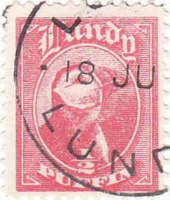 Head of Puffin
