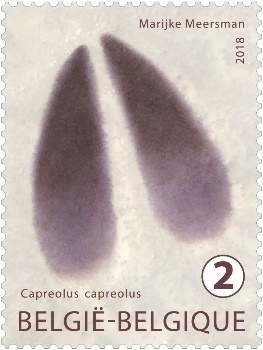 Stamp, Track of the Capreolus capreolus, Belgium,  , Animals (Fauna), Deer, Mammals