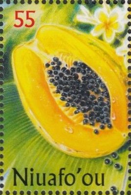 Papaya (Carica papaya)