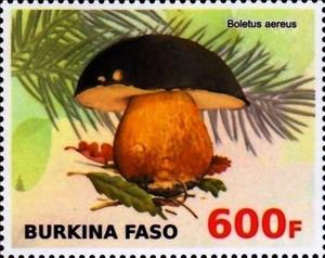 Stamp, Boletus aereus, Cinderellas,  , Mushrooms