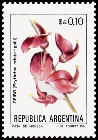 Ceibo (Erythrina crista-galli)