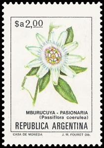 Stamp, Mburucuyá (Passiflora coerulea), Argentina,  , Flowers, Plants (Flora)