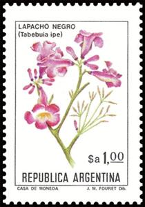 Stamp, Lapacho Negro (Tabebuia impetiginosa), Argentina,  , Flowers, Plants (Flora)