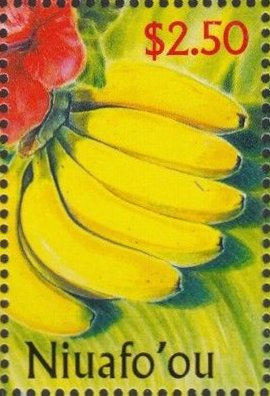 Bananas (Musa x paradisiaca)
