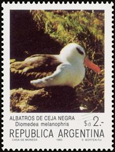 Mini Sheet, Black-browed Albatross (Diomedea melanophris), Argentina,  , Animals (Fauna), Birds