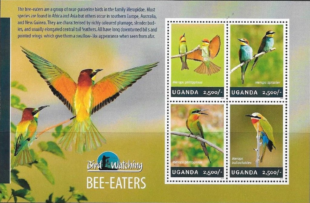 Bee-eaters