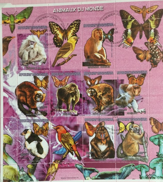 Animaux du monde